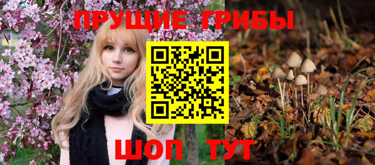 Псилоцибиновые грибы прущие грибы  Вход с VPN  Чапаевск 